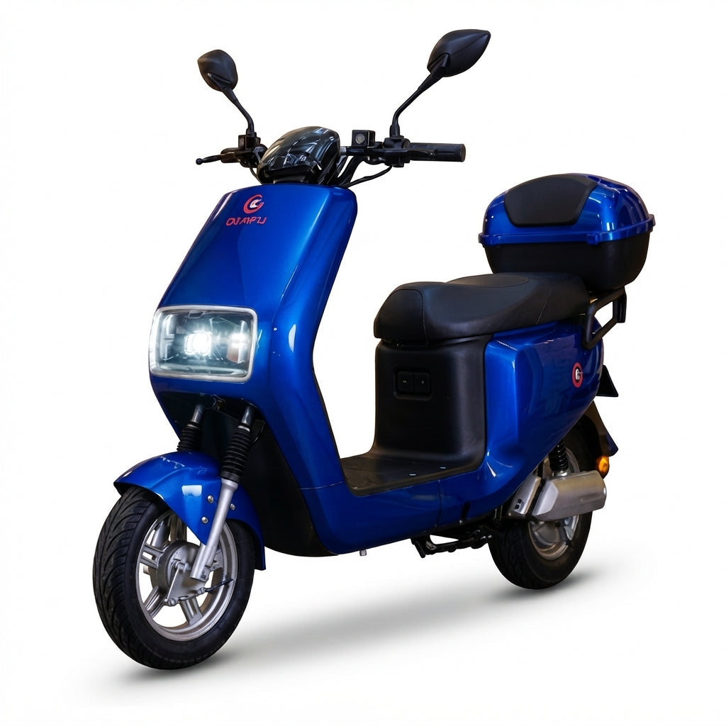 MOTO ELECTRICA URBAN 1000